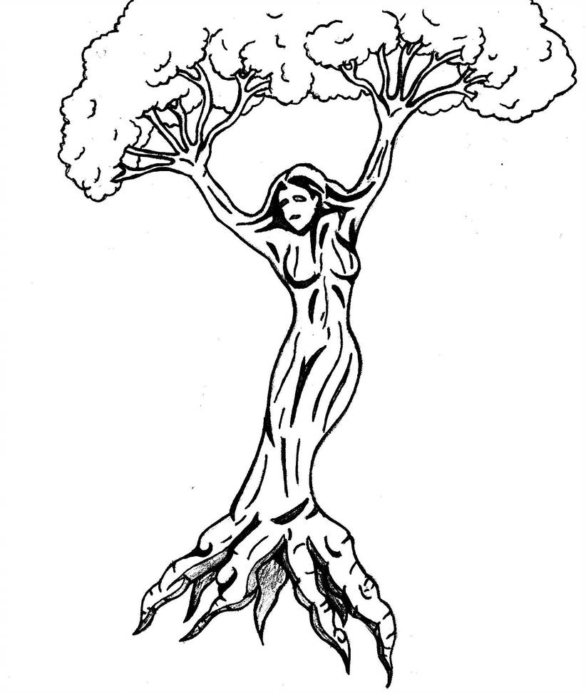 822x972 Tree Lady