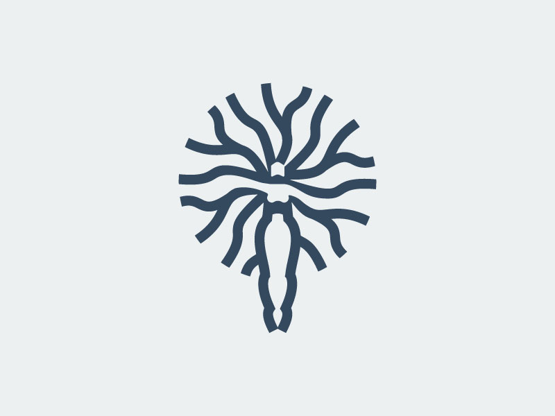 800x600 Tree Woman Logo