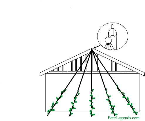 494x413 Hops Trellis House Eve Design Follow Link For More