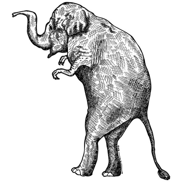 600x600 T Rex Drawings Fine Art America