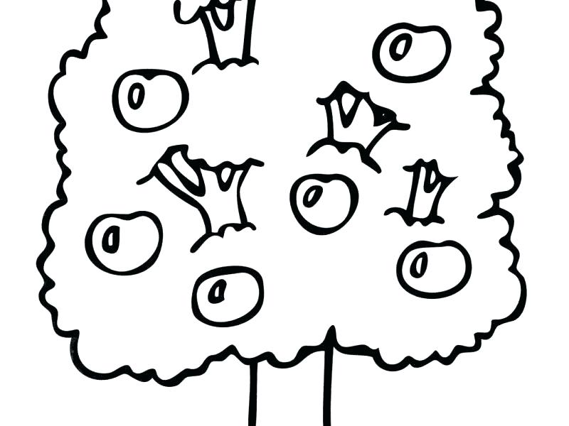 800x600 Sandbox Coloring Unlimited Free Ios App Drawing At For Personal