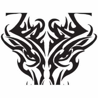 320x320 Hd Almost Crazy Years Of Seeking And Digging About Everything