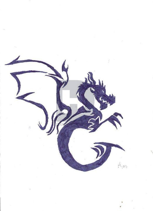 523x720 Tribal Dragon Drawing