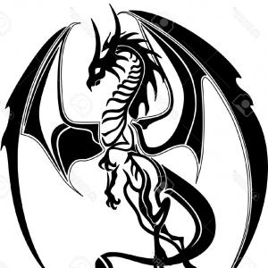 300x300 Unique Tribal Dragon