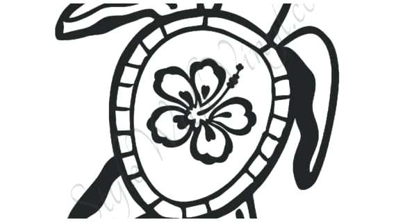 570x320 Hawaiian Flowers Drawing