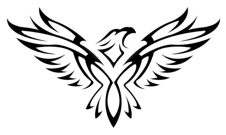 736x440 Latest Hawk Tattoo Designs And Ideas
