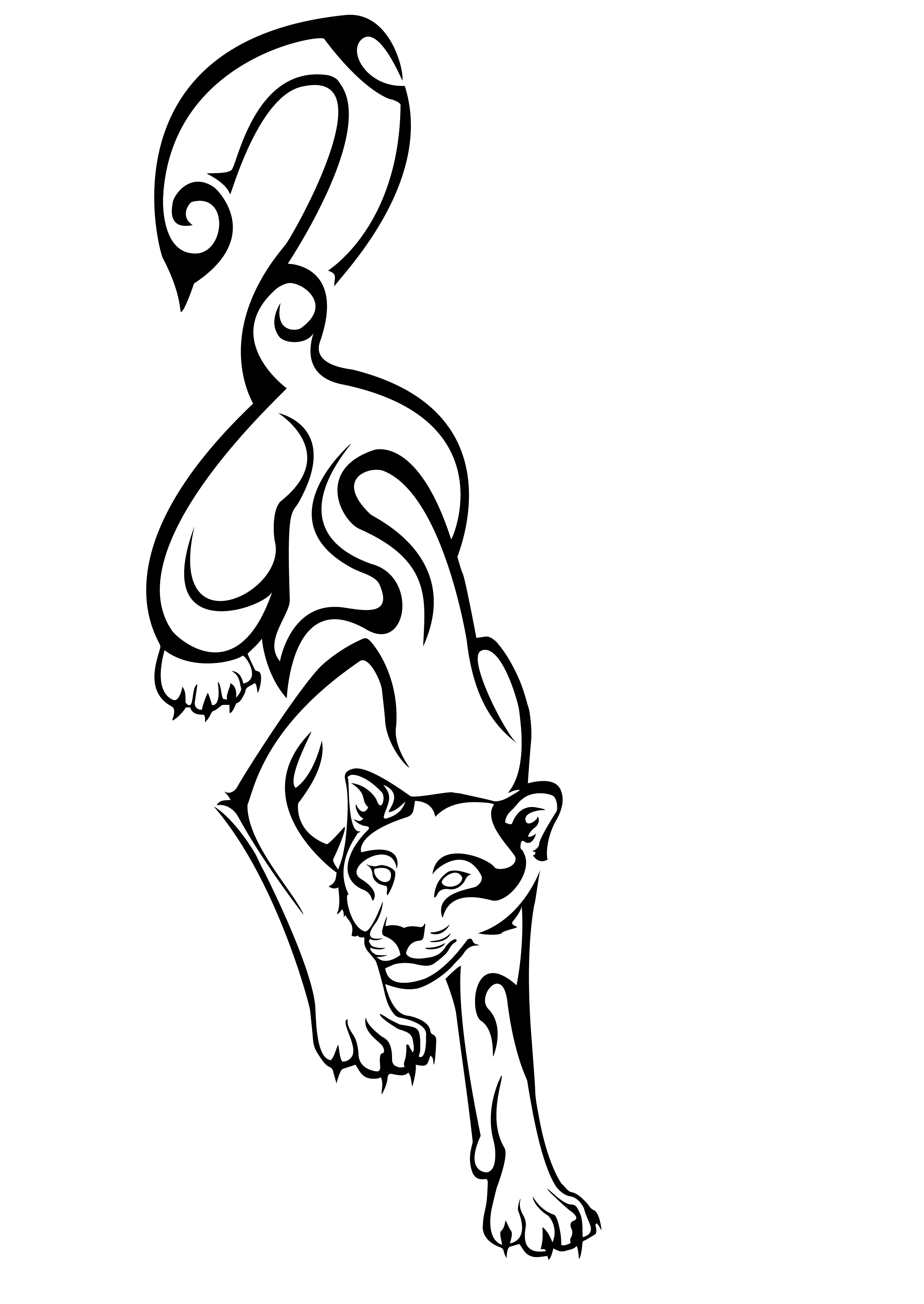 2550x3600 Tribal Wildcat Design Feather Fang Design