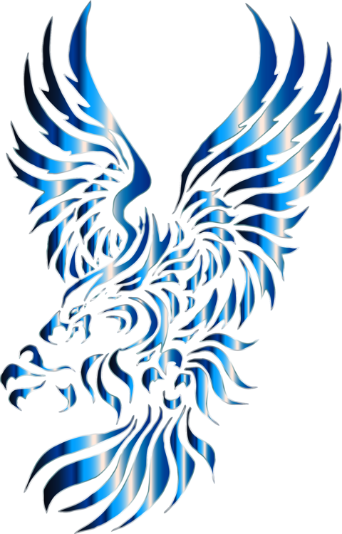 480x750 Drawing Eagles Tribal Transparent Png Clipart Free Download