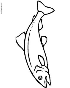 236x298 How To Draw A Salmon Fish