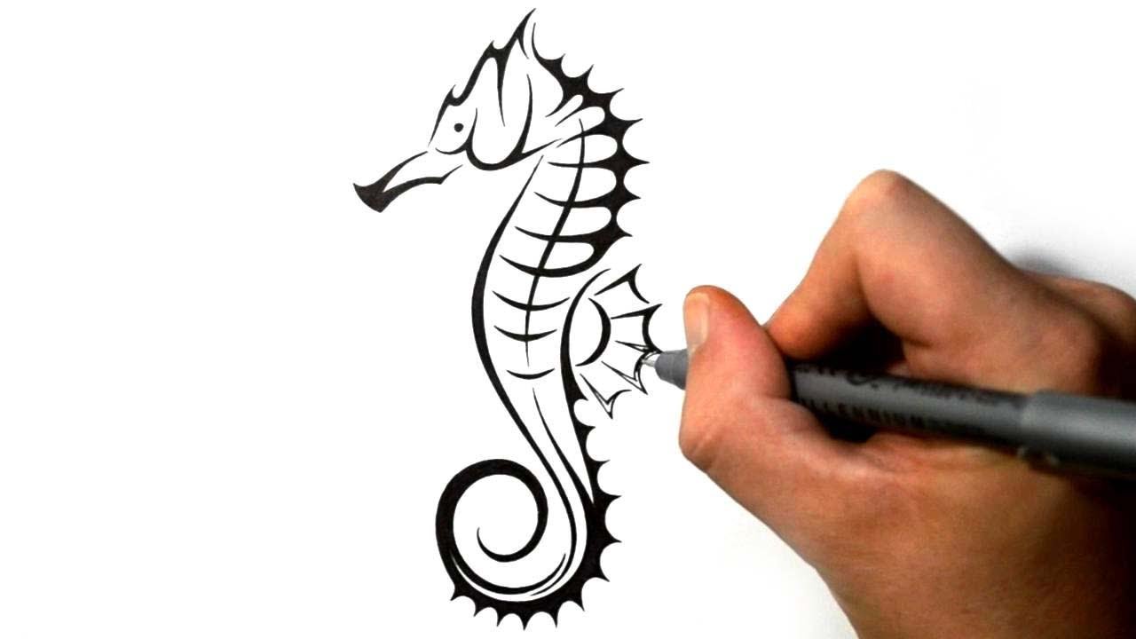 1280x720 How To Draw A Seahorse