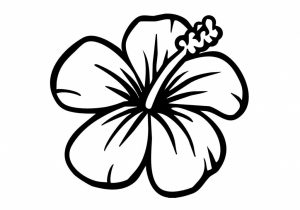 300x210 Hawaii Flowers Drawing How To Draw An Hawaiian Flower