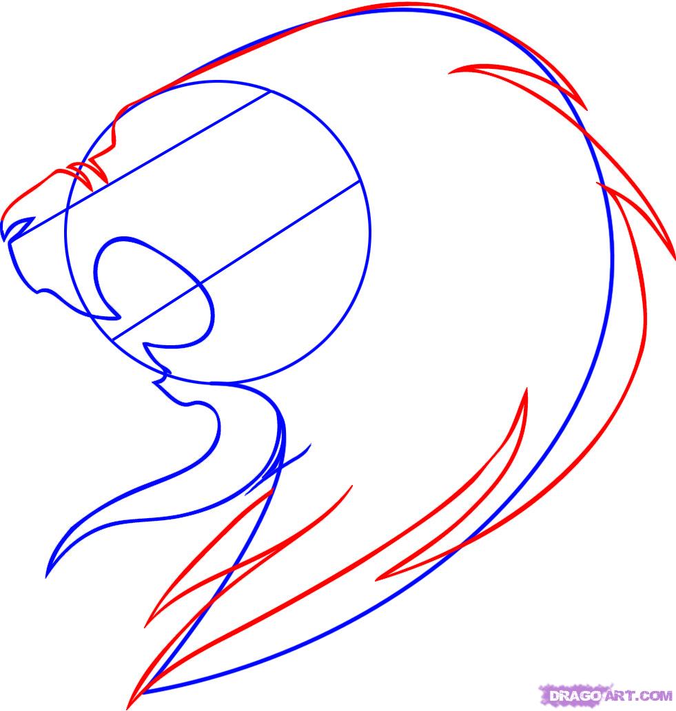 981x1032 How To Draw A Tribal Lion, Step