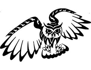 300x233 Owl Tribal Art Bird Wall Car Truck Window Vinyl Sticker Decal X