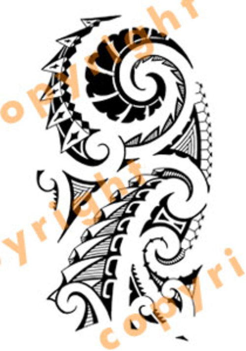500x714 Maori Tribal Tattoo Drawing Designs Free Image
