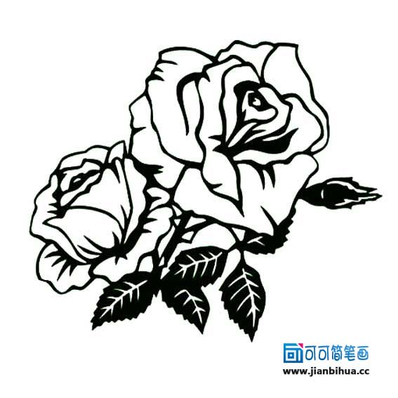 567x567 Easy Tribal Rose Jerusalem House