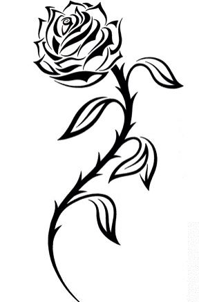 288x437 Eskizy Tcvetov Dlia Risovaniia Shablony Tys Izobrazhenij