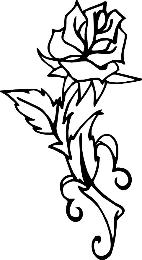 481x879 Streetgear Tribal Rose Fantasy Black Right