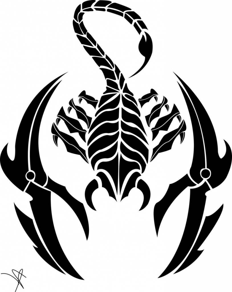 814x1024 Drawn Scorpion Tribal