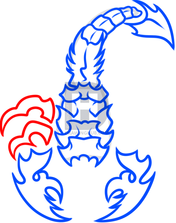 571x720 How To Draw A Scorpion Tattoo, Step
