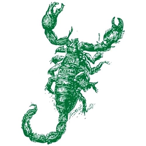 500x500 scorpion tail drawing how to draw a tribal scorpion step