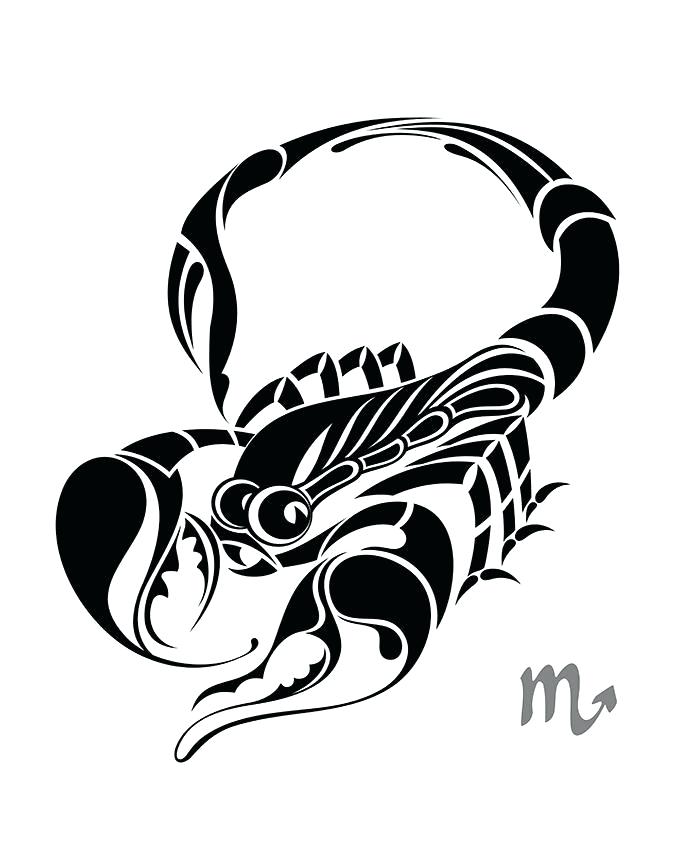 678x850 Simple Scorpion Drawing