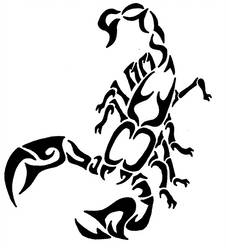 226x250 Tribalscorpion Explore Tribalscorpion