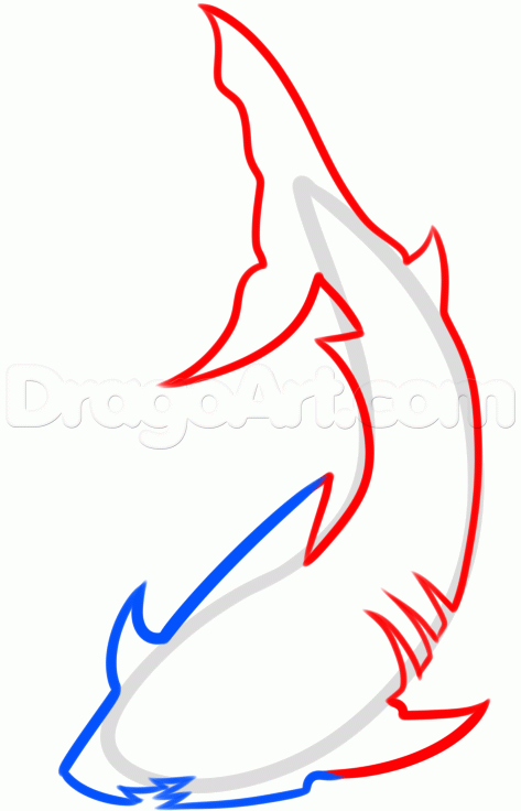 473x736 How To Draw A Tribal Shark, Step