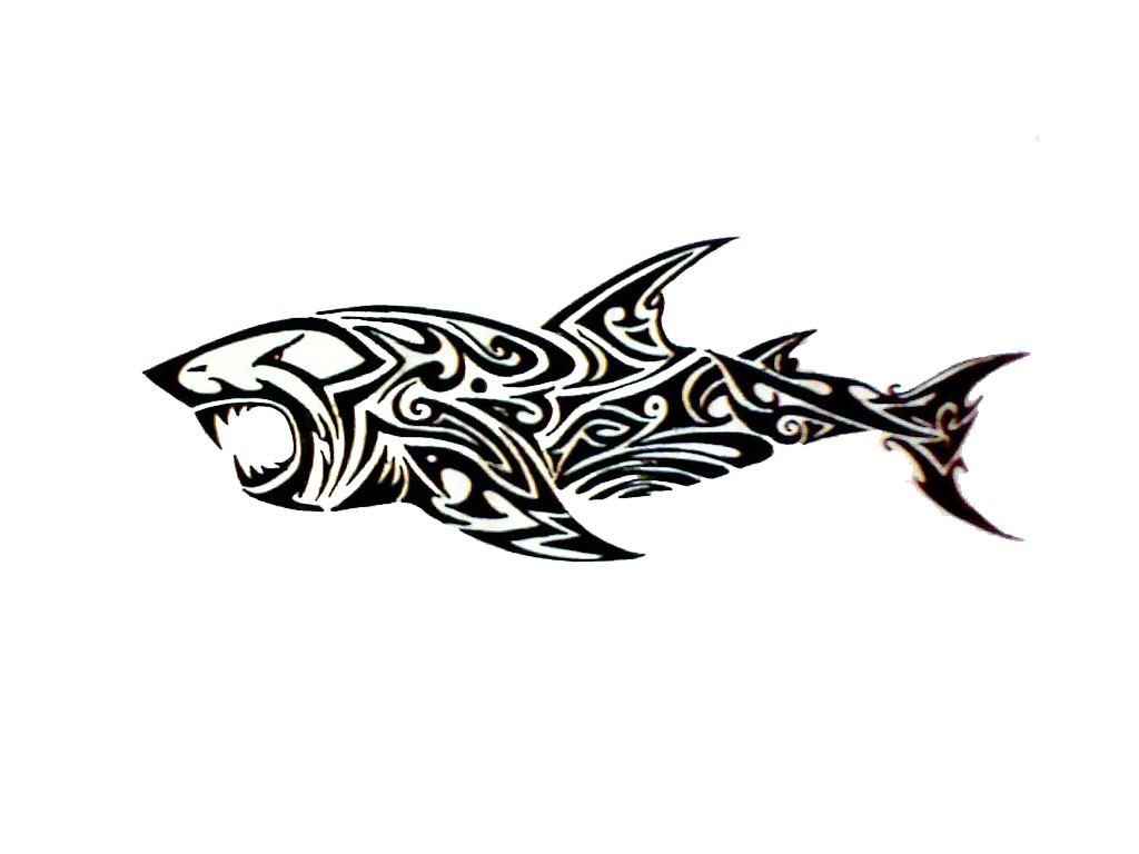1024x768 Tribal Shark Drawing