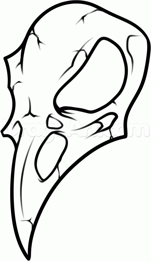 504x871 How To Draw A Crow Skull, Step