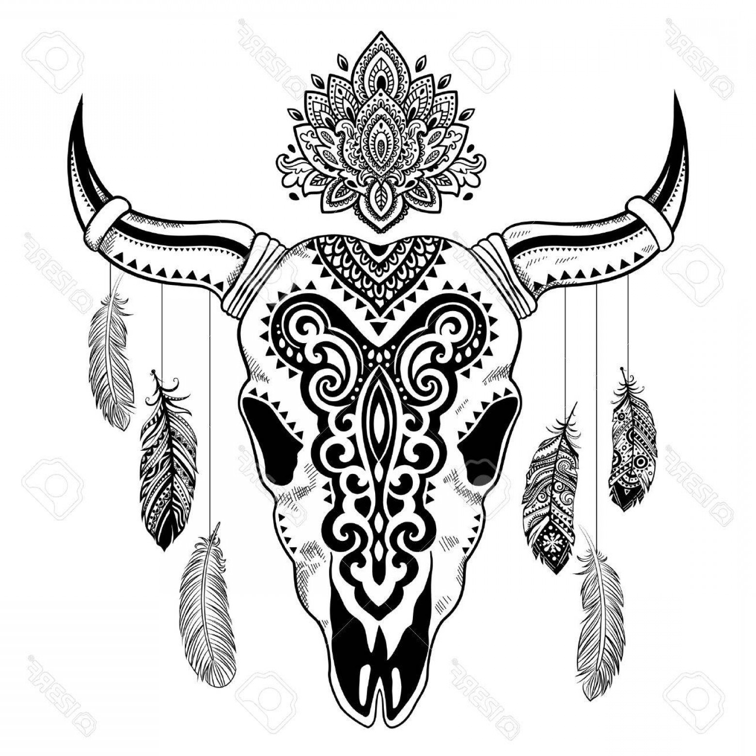 1560x1560 Photostock Vector Vector Tribal Animal Skull Illustration