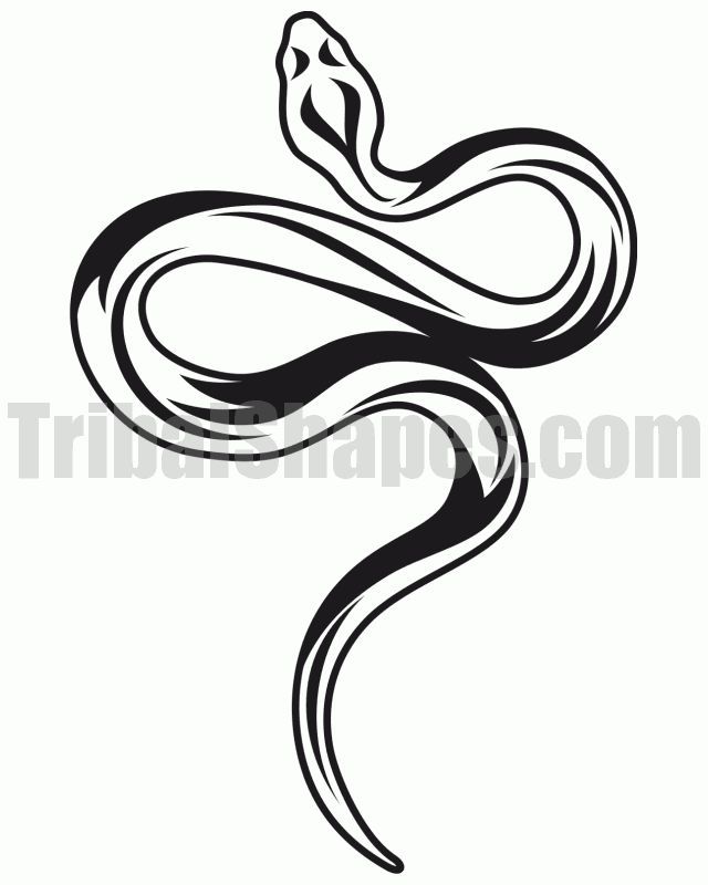 640x800 Easy Snake Drawing Tattoo