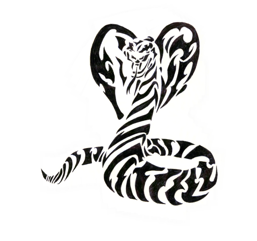 900x845 Snakes, Drawing, Tiger, Transparent Png Image Clipart Free Download