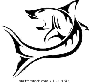 297x280 Huge Collection Of 'shark Tattoo Drawing' Download More Than