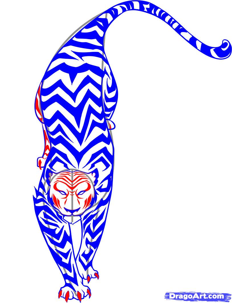 814x1062 How To Draw A Tribal Tiger, Step