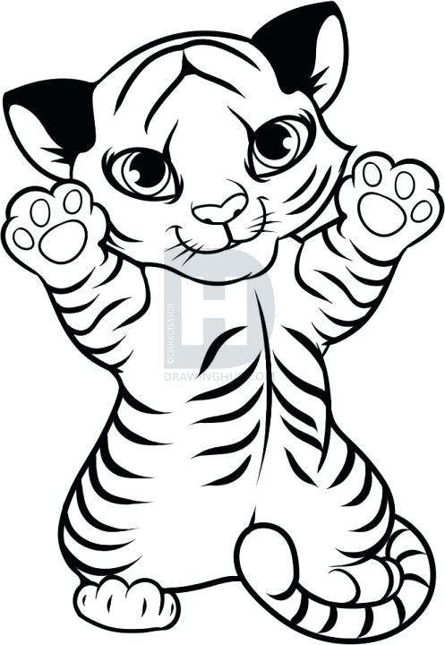 497x720 Tiger Drawing Tribal Pencil Simple Geostep