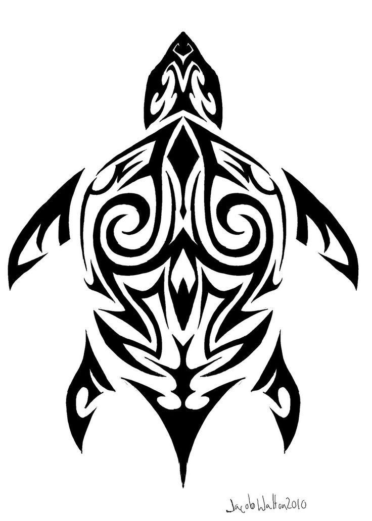 736x1032 Tribal Tatto Polynesian Tribal Turtle Tattoo Designs
