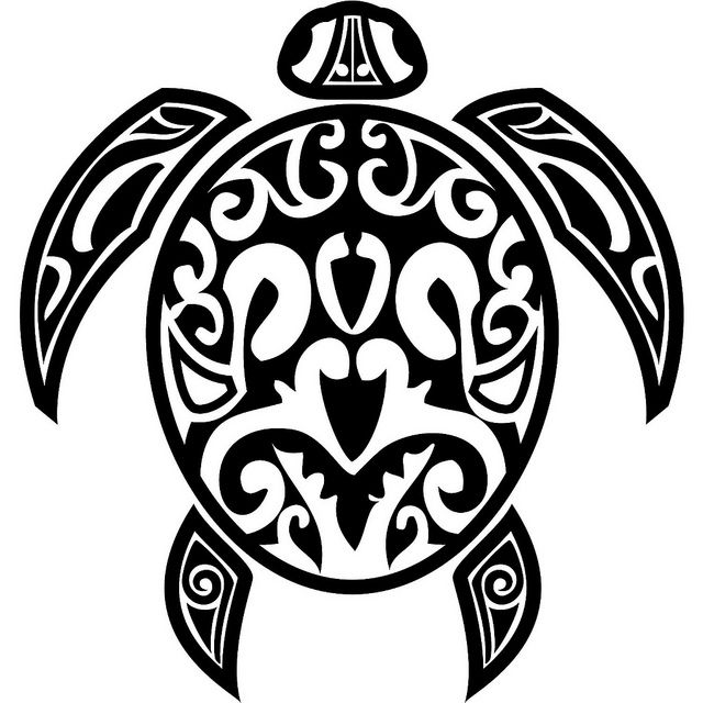 640x640 Turtle Drawing Free Download
