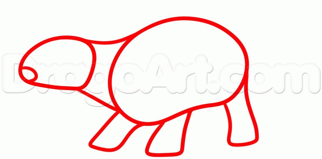 1106x547 Draw A Triceratops, Step