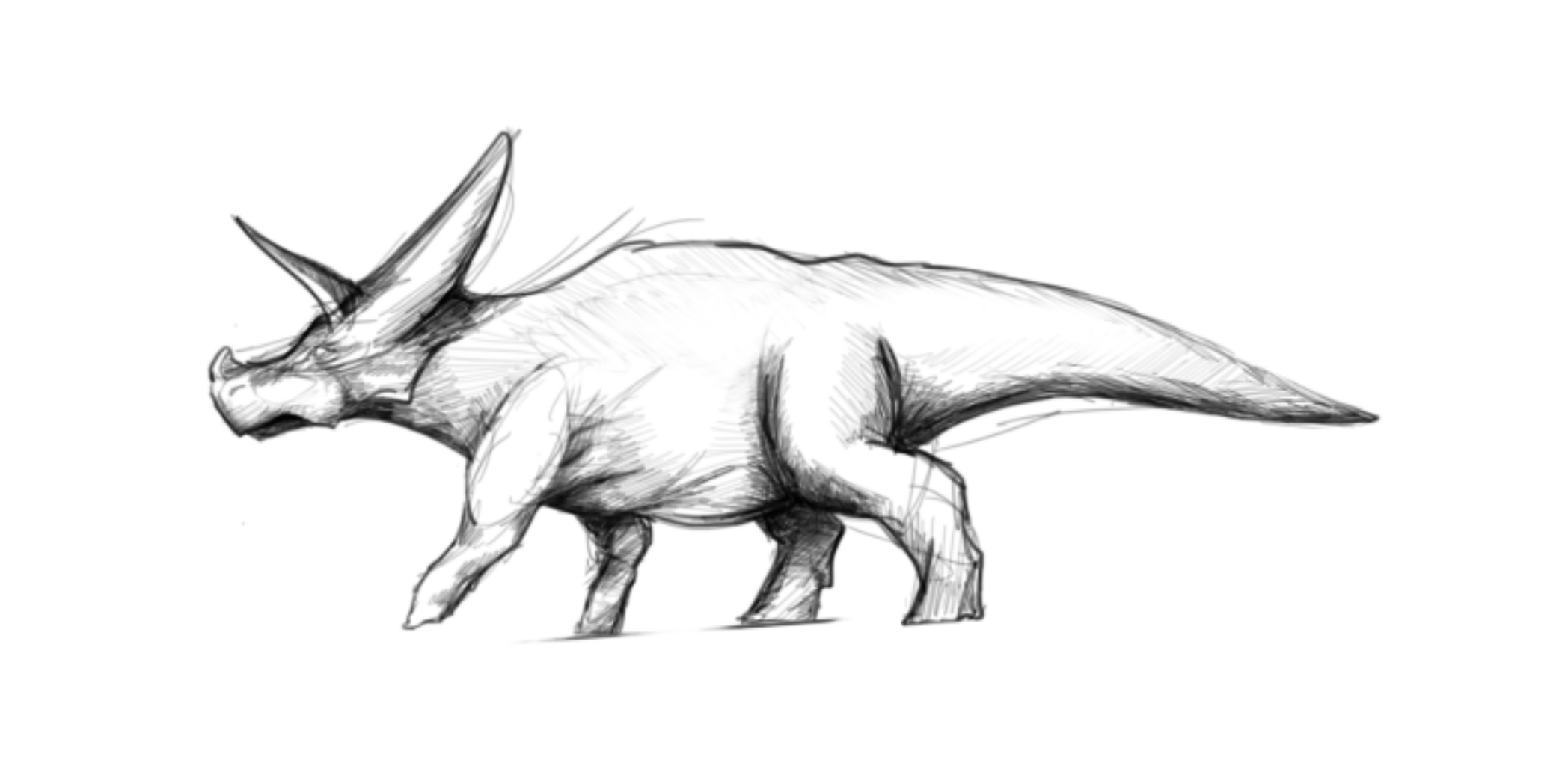 2096x1048 Triceratops!