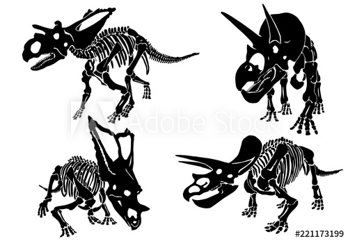 500x347 graphical set of dinosaur skeletons isolated on white background