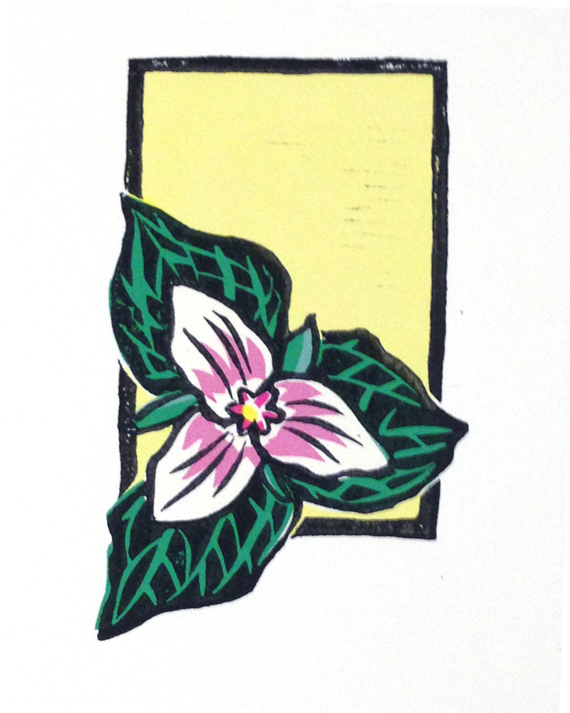 800x1000 dorothy's trillium rachael r lang