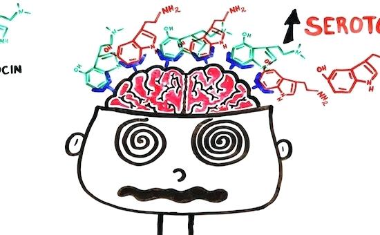 550x340 Shrooms Drawing Mushroom Drawing Art