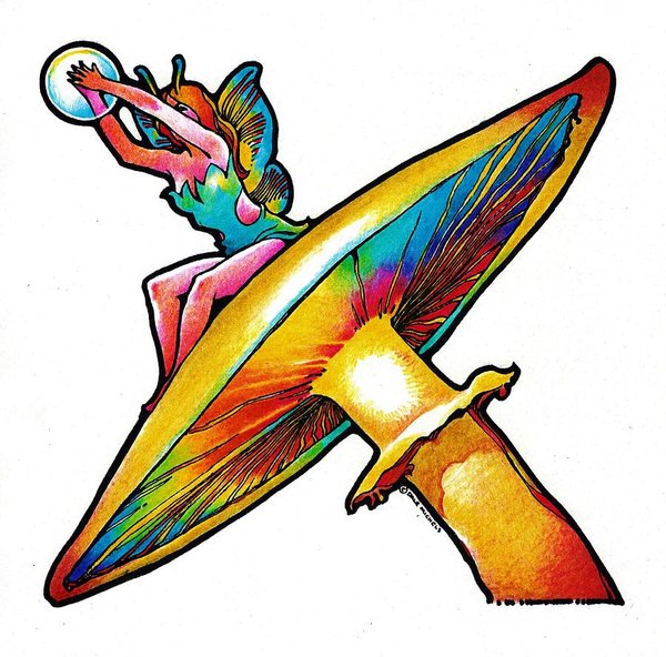 600x592 Magic Mushroom Drawings Fine Art America
