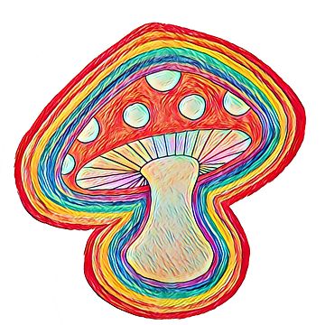 360x360 Pink Rainbow Mushroom Photographic Print