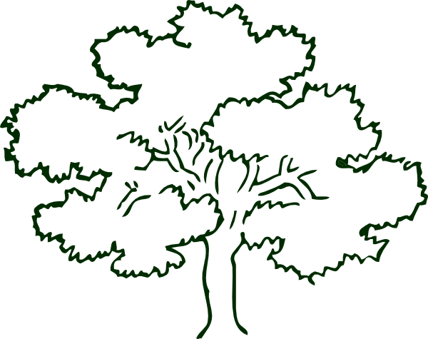 600x475 Collection Of Free Tree Drawing Trippy Download On Ui Ex