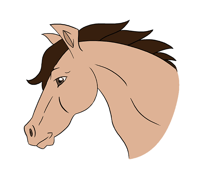 678x600 How To Draw A Horse's Head Easy Drawing Guides