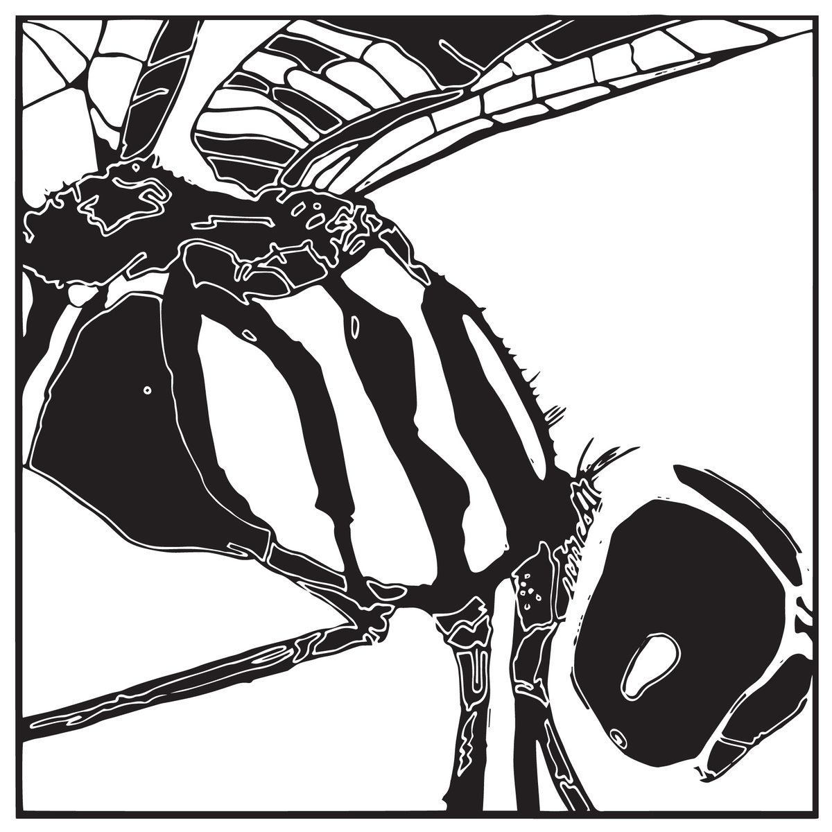 1200x1200 Trojan Horse Papa Chango