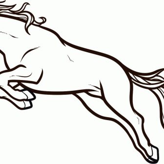336x336 Cartoon Horse Drawing Step