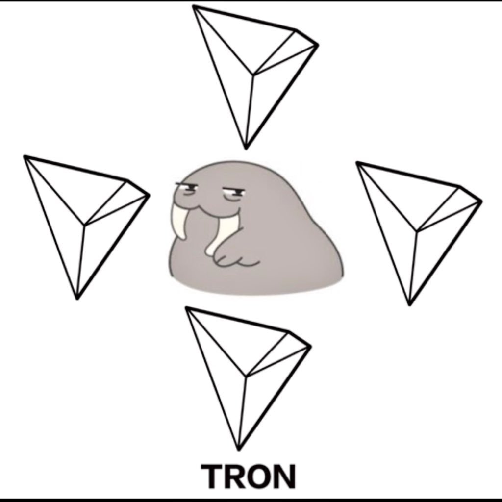 1024x1024 tron walrus