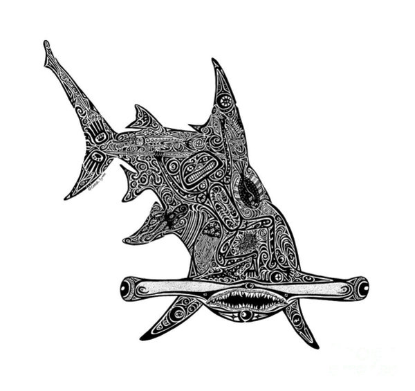 600x565 Tropical Beach Drawings Fine Art America